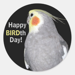 Pet Bird Cockatiel Foto Happy BIRDth Day Birthday Runder Aufkleber