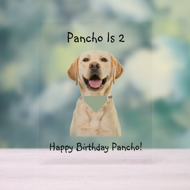 PET BIRTHDAY ACRYLIC SIGN ACRYLSCHILD (Neutral)