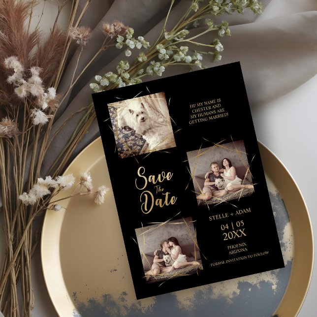 Pet Black Stilvoll Moderne Kalligraphie 3-Foto (Pet Black Stylish Modern Calligraphy 3-Photo Save the Date Cards.)