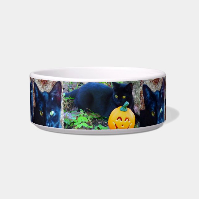 Pet Bowl, Mittel, Katzenfutterschale Napf (Vorderseite)