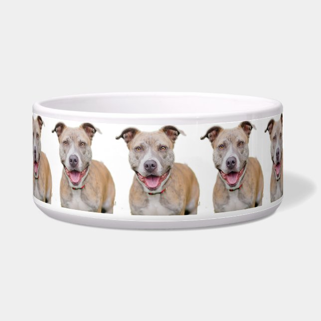 Pet Bowl/Pitbull Napf (Vorderseite)