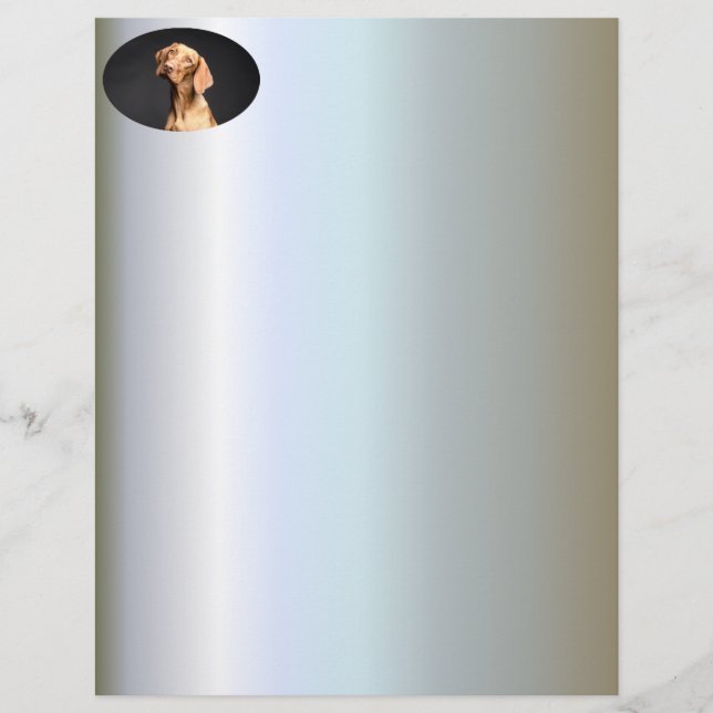 Pet Brown Beagle Dog (Vorderseite)
