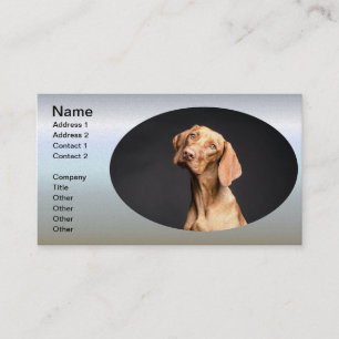 Pet Brown Beagle Dog Visitenkarte