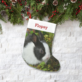 Pet Bunny Lover Rabbit Foto und Name Personalisier Kleiner Weihnachtsstrumpf