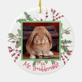 Pet Bunny Rabbit Weihnachts-Foto Weihnachts-Niedli Keramik Ornament