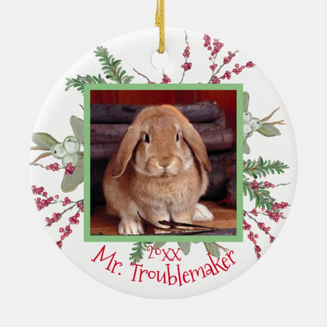 Pet Bunny Rabbit Weihnachts-Foto Weihnachts-Niedli Keramik Ornament (Hinten)