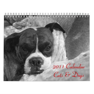Pet Calendar 2011: Katzen und Hunde Kalender