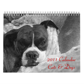 Pet Calendar 2011: Katzen und Hunde Kalender