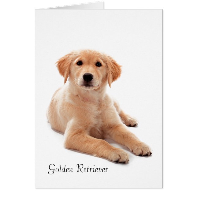 Pet Card (Vorne)