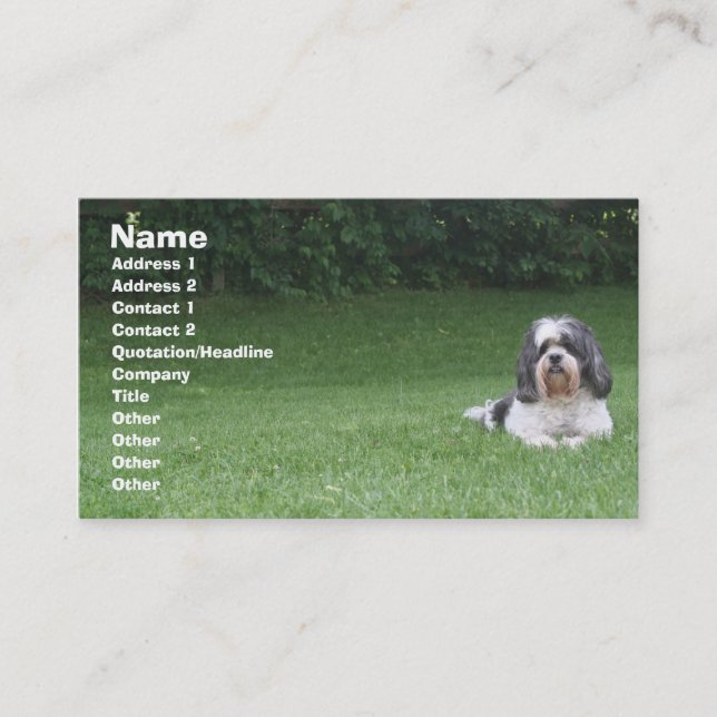 Pet care/pet sitting/yard care business card visitenkarte (Vorderseite)