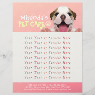 Pet Care Sitting Bade Grooming Salon Food Shop Flyer