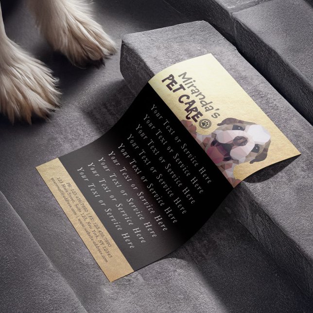 Pet Care Sitting Bade Grooming Salon Food Shop Flyer (Von Creator hochgeladen)
