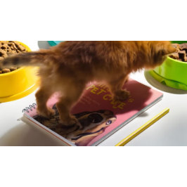 Pet Care Sitting Bade Grooming Salon Food Shop Notizblock