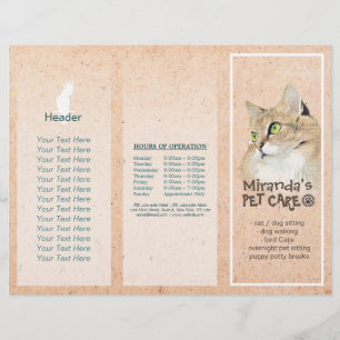 Pet Care Sitting Grooming Salon Tri-Fold Broschüre