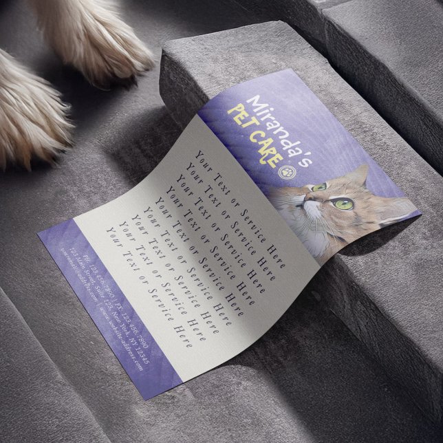 Pet Care Sitzen Baden Grooming Beauty Salon Katze Flyer (Von Creator hochgeladen)