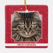 Pet Cat Memorial Red Snow Foto Weihnachten