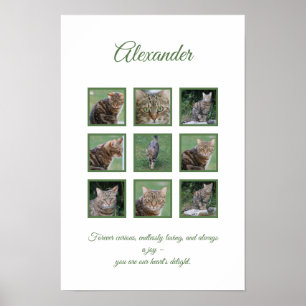 Pet Celebration Poster individuell anpassbar
