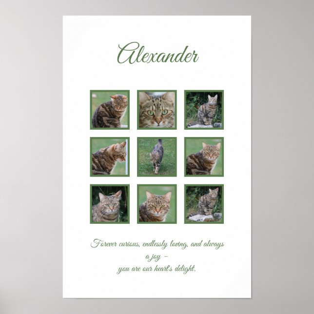 Pet Celebration Poster individuell anpassbar (Vorne)