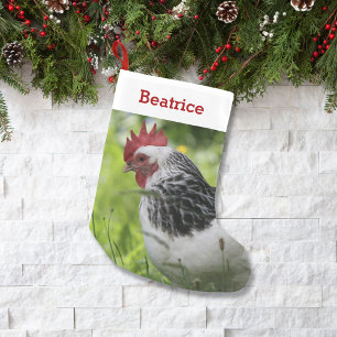 Pet Chicken Lover Foto und Name Personalisiert Kleiner Weihnachtsstrumpf