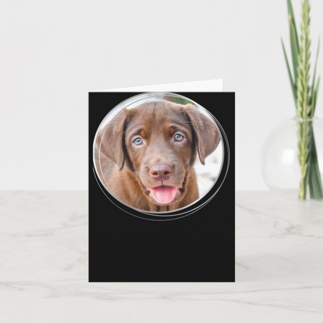 Pet Christmas D Dog Photo Holiday T Shirt  Karte (Vorderseite)