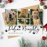 Pet Definition Naughty Multi Foto Weihnachten<br><div class="desc">Nehmen Sie sich die Zeit dieses Jahr, um eine lustige Weihnachtskarte für die Familie zu erstellen. Mit einem minimalistisch-weißen Hintergrund, das humorvolle Sprichwort "definieren unartig", Pfotendrucke, eine 4-Foto-Vorlage, die es Ihnen ermöglicht, die labrador Fotos durch Ihre eigenen speziellen Erinnerungen, Ihren Familiennamen und das Jahr zu ersetzen. Eine Botschaft, die Sie...</div>