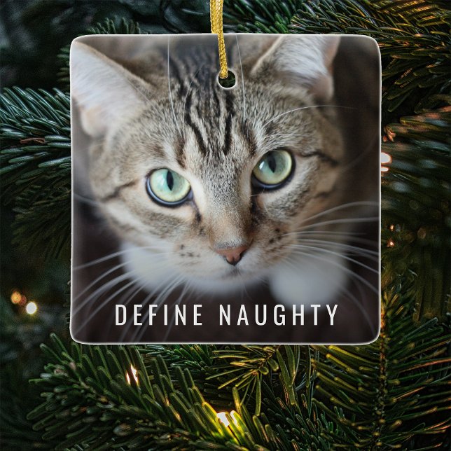 Pet Definition Naughty | Weihnachtsbaum des Fotos Keramikornament (Von Creator hochgeladen)