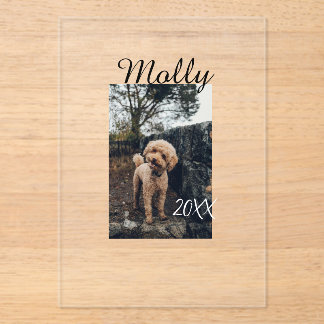 Pet dog cat animal birthday photo modern year date acryleinladungen