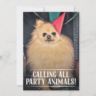 PET DOGS GEBURTSTAG PARTY FOTO INVITE EINLADUNG