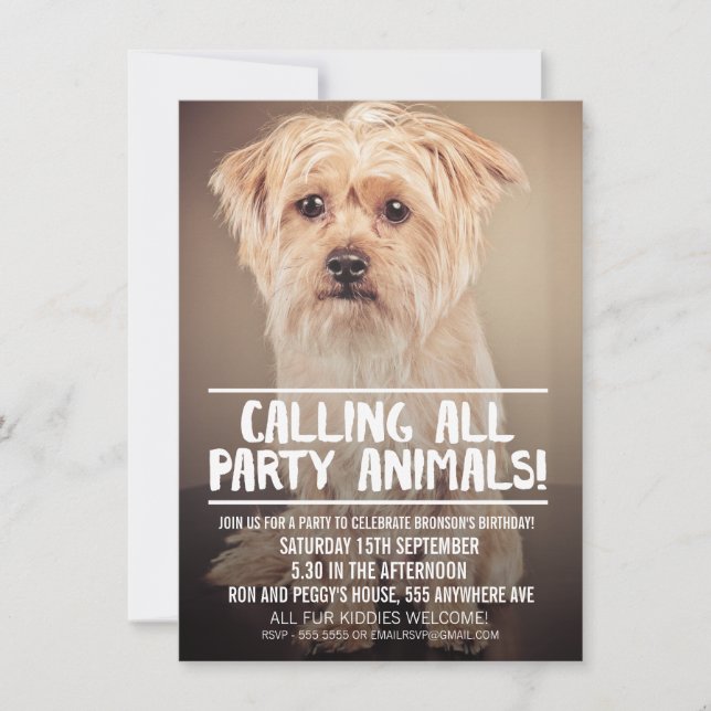 PET DOG'S PARTY FOTO INVITE EINLADUNG (Vorderseite)