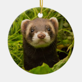 Pet Ferret im Gras Keramik Ornament
