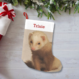 Pet Ferret Lover Foto und Name Personalisiert Kleiner Weihnachtsstrumpf