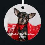 Pet First Christmas Ornament Aus Metall<br><div class="desc">Begleiter erste Weihnachts-Foto Weihnachtsschmuck. Bildvorlage über Pixabay,  lizenziert unter CC0 und muss durch eigene Foto ersetzt werden</div>