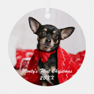 Pet First Christmas Ornament Aus Metall