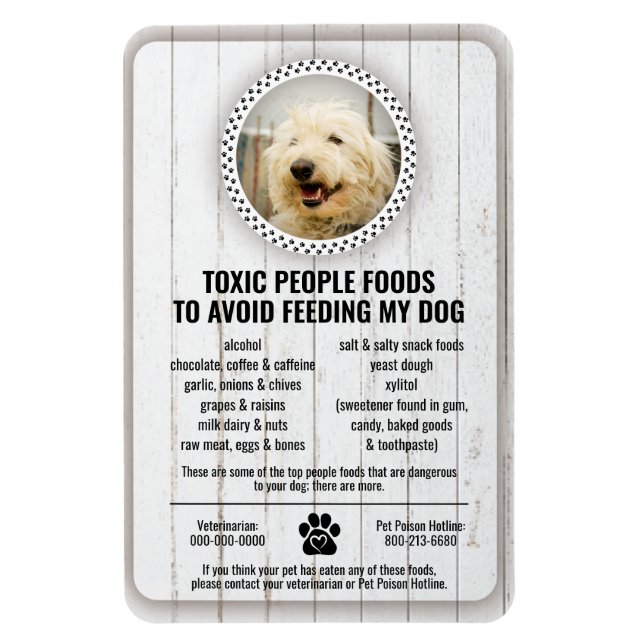 Pet Food Safety Dangerous People Foods to Avoid 2  Magnet (Vertikal)