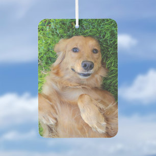 Pet Foto Air Freshener Autolufterfrischer