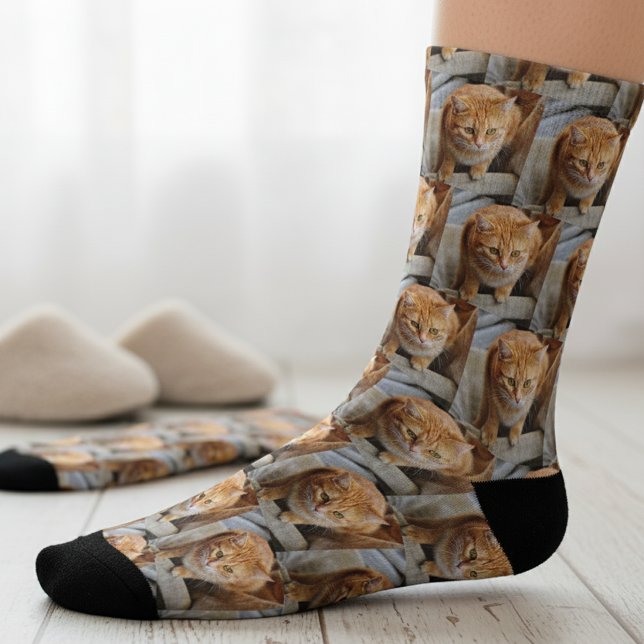 Pet-Foto - individuelle Fun-Dog-Katze Socken (Von Creator hochgeladen)