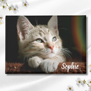Pet-Foto Magnet