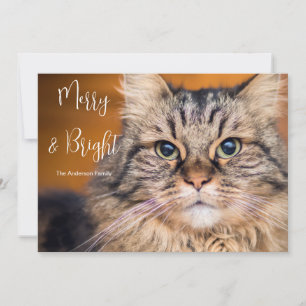 Pet Foto Merry und Bright Feiertagskarte