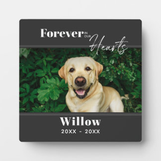 PET Foto von Custom Memorial Keepsake Fotoplatte