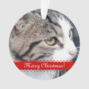 Pet Foto Weihnachtsverzierung Antriebskraft Ihre Ornament