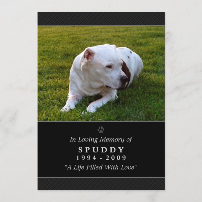 Pet-Gedenkkarte 5 x 7 Pet-Gebete des Schwarzen Fot Ankündigung (Vorderseite)