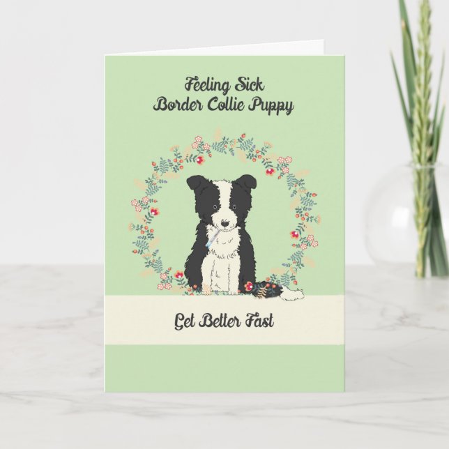 Pet Get Well Card for Border Collie Puppy Karte (Vorderseite)