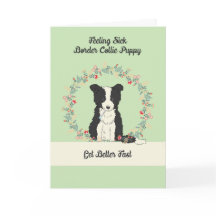 Pet Get Well Card for Border Collie Puppy