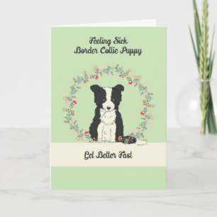 Pet Get Well Card for Border Collie Puppy Karte
