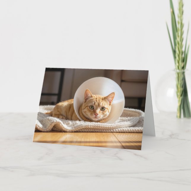 Pet Get Well Ginger Cat Wearing a Cone of Shame Karte (Vorderseite)