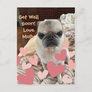 Pet Get Well - Insert your Pet Postkarte