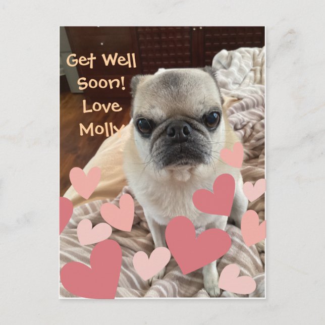 Pet Get Well - Insert your Pet Postkarte (Vorderseite)