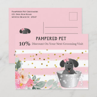 Pet Groomer Welpe im Tub Marketing Postkarte