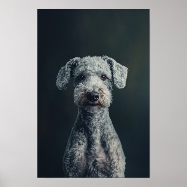 Pet Grooming Salon Bedlington Terrier Portrait Poster (Vorne)