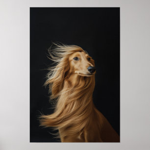 Pet Grooming Salon Boutique Afgan Hound Portrait Poster